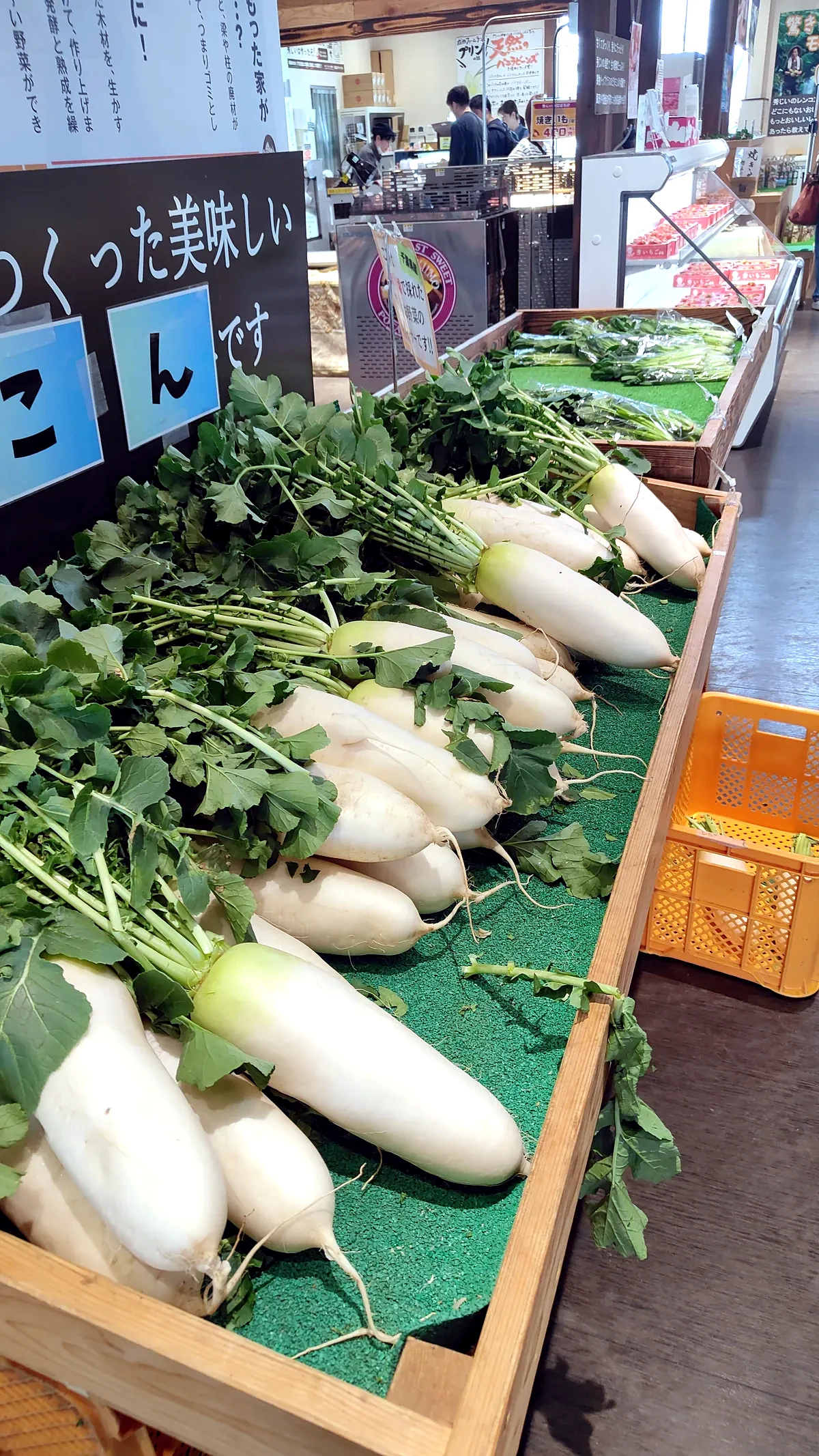 季節の野菜や果物が並ぶ直売所
