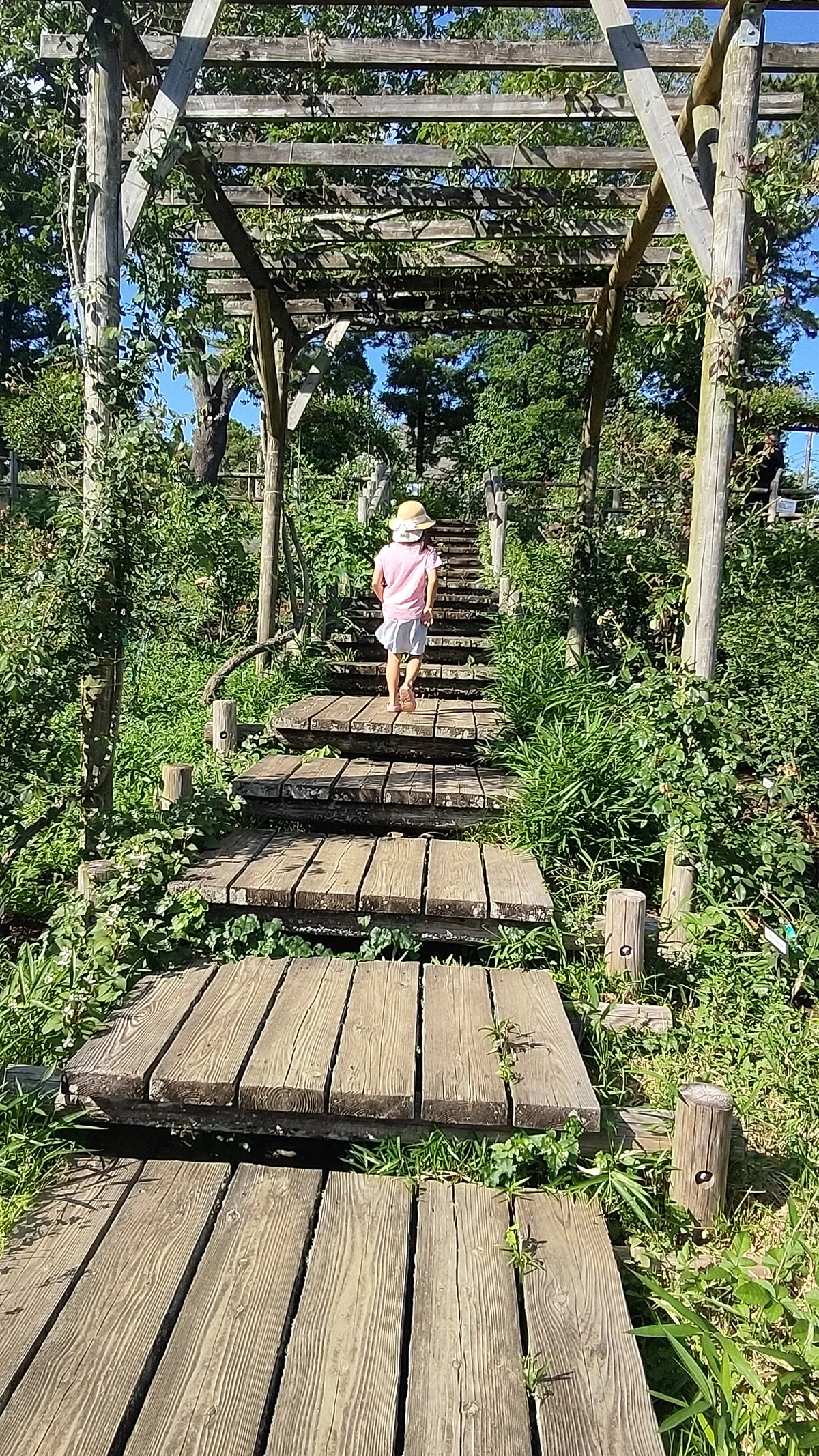 パーゴラの下を通る木道