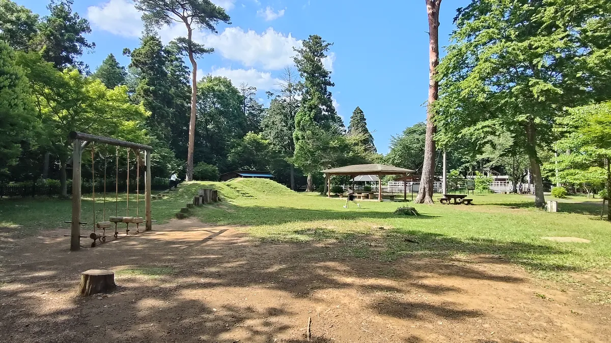 木立に囲まれた広い芝生
